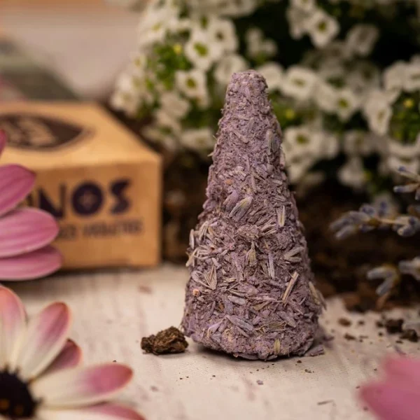 cono lavanda x1