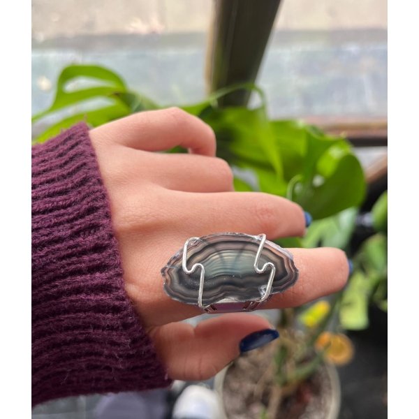 rodaja anillo